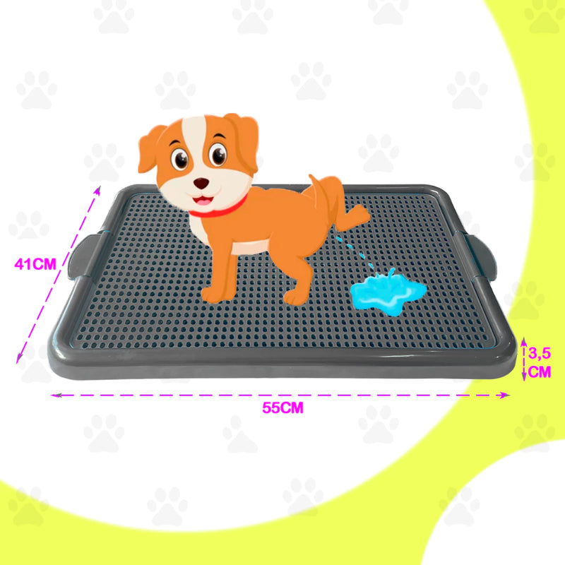 Sanitário  Tapete Canino Grande Banheiro Pet Educador