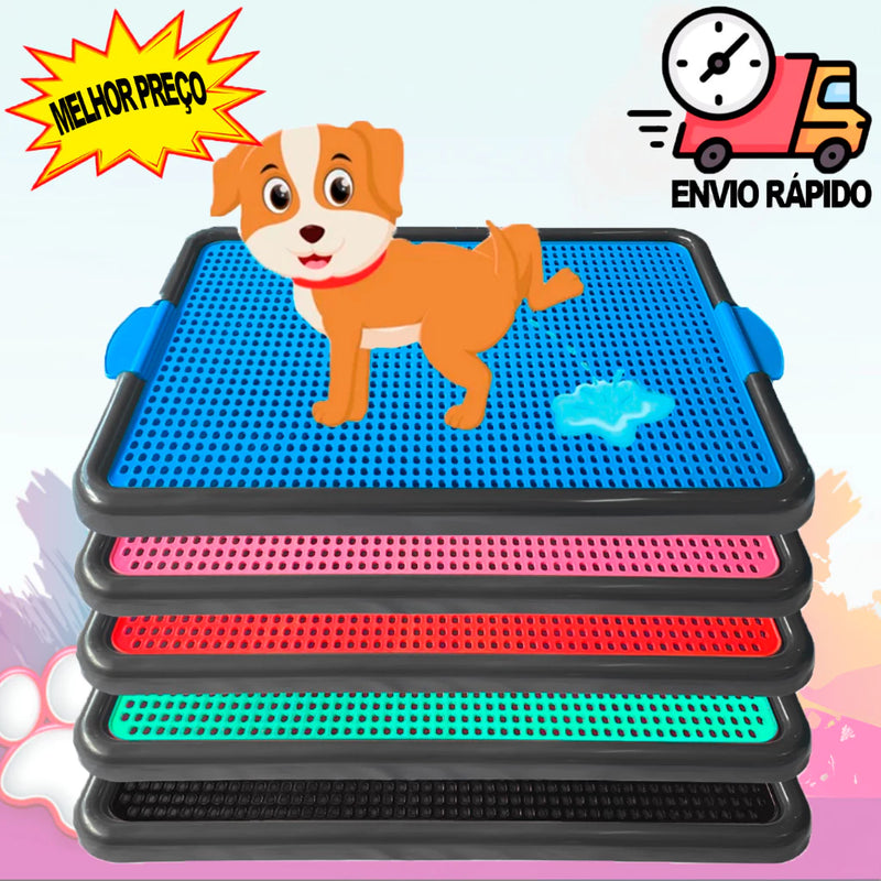 Sanitário  Tapete Canino Grande Banheiro Pet Educador