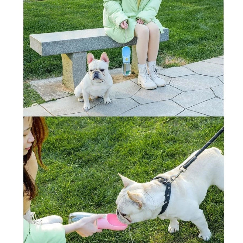 Garrafa Bebedouro De Água Para Cães