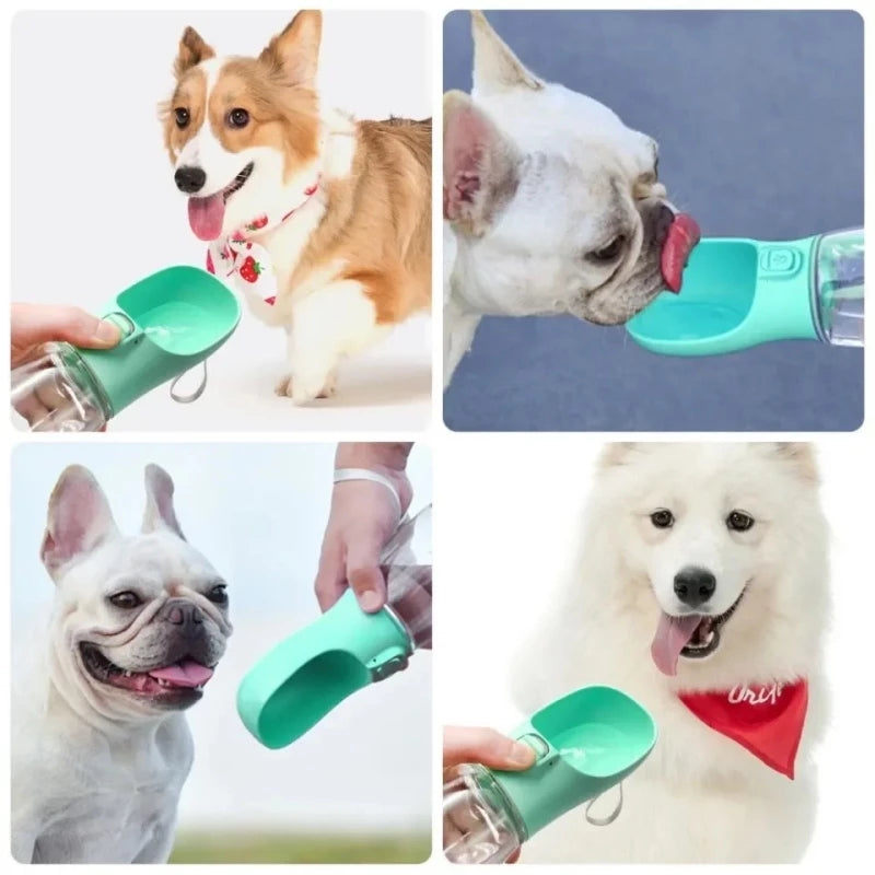 Garrafa Bebedouro De Água Para Cães