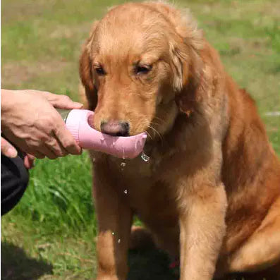 Garrafa Bebedouro De Água Para Cães