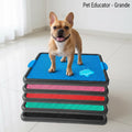 Sanitário  Tapete Canino Grande Banheiro Pet Educador
