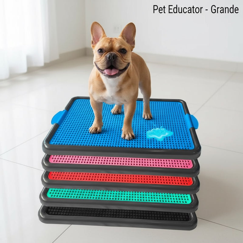 Sanitário  Tapete Canino Grande Banheiro Pet Educador